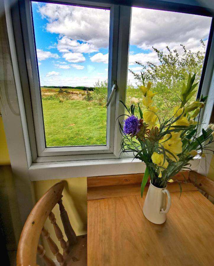 Bluebell Off-Grid Van Newton Stewart Luaran gambar