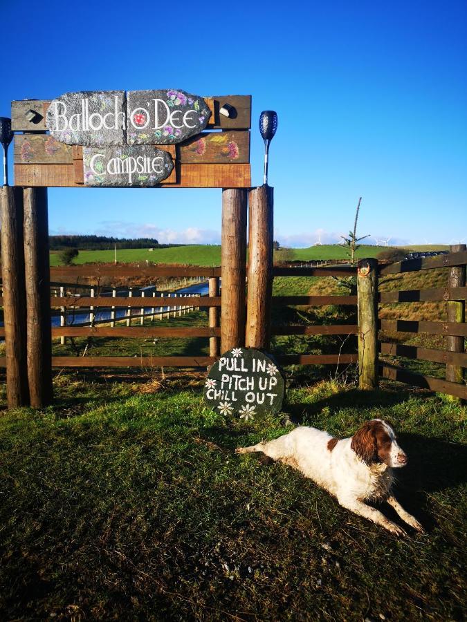 Bluebell Off-Grid Van Newton Stewart Luaran gambar